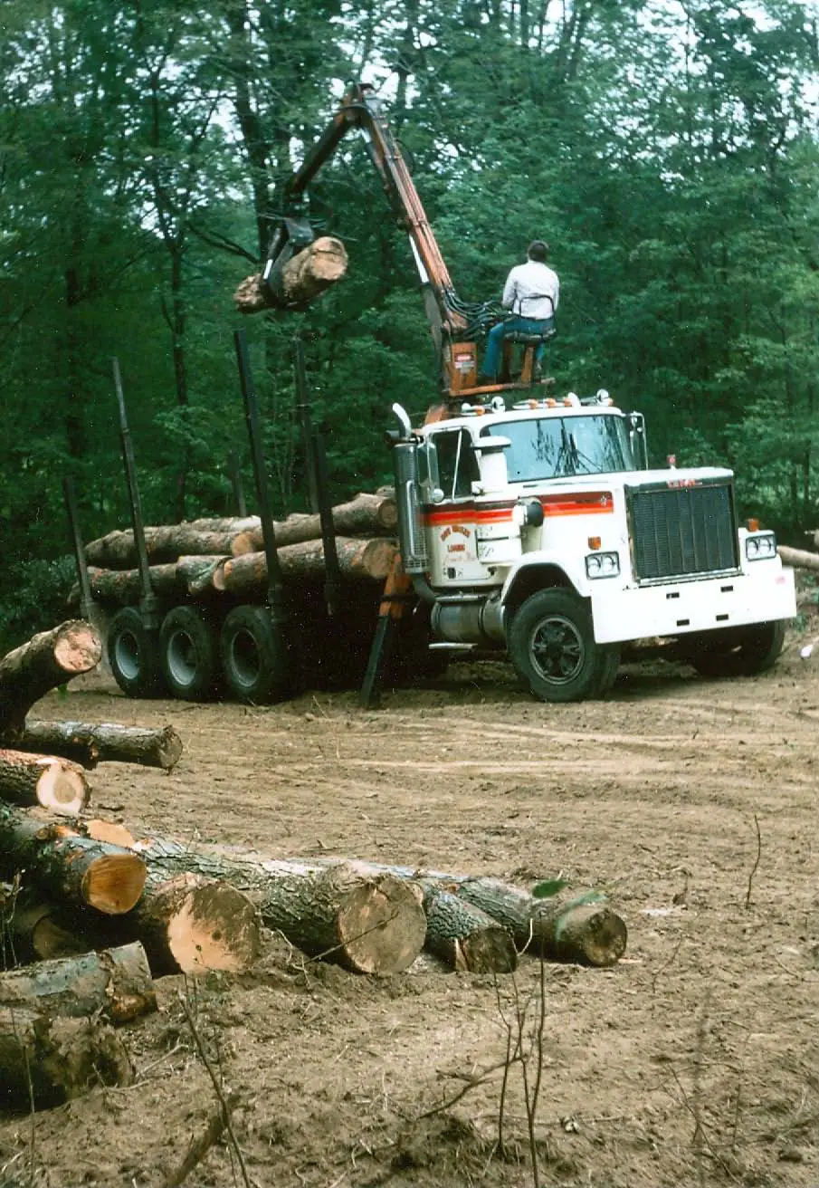 Log truck being loaded in a wooded clearing, the operator seated high on the loader as it lifts a log onto the stacked rows, with cut logs on the ground in front