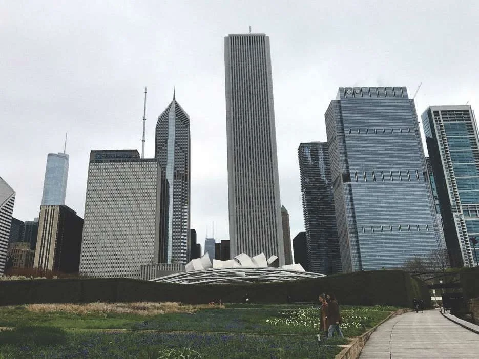 Planted garden in Millennium Park with the Pritzker Pavilion and Chicago skyscrapers beyond