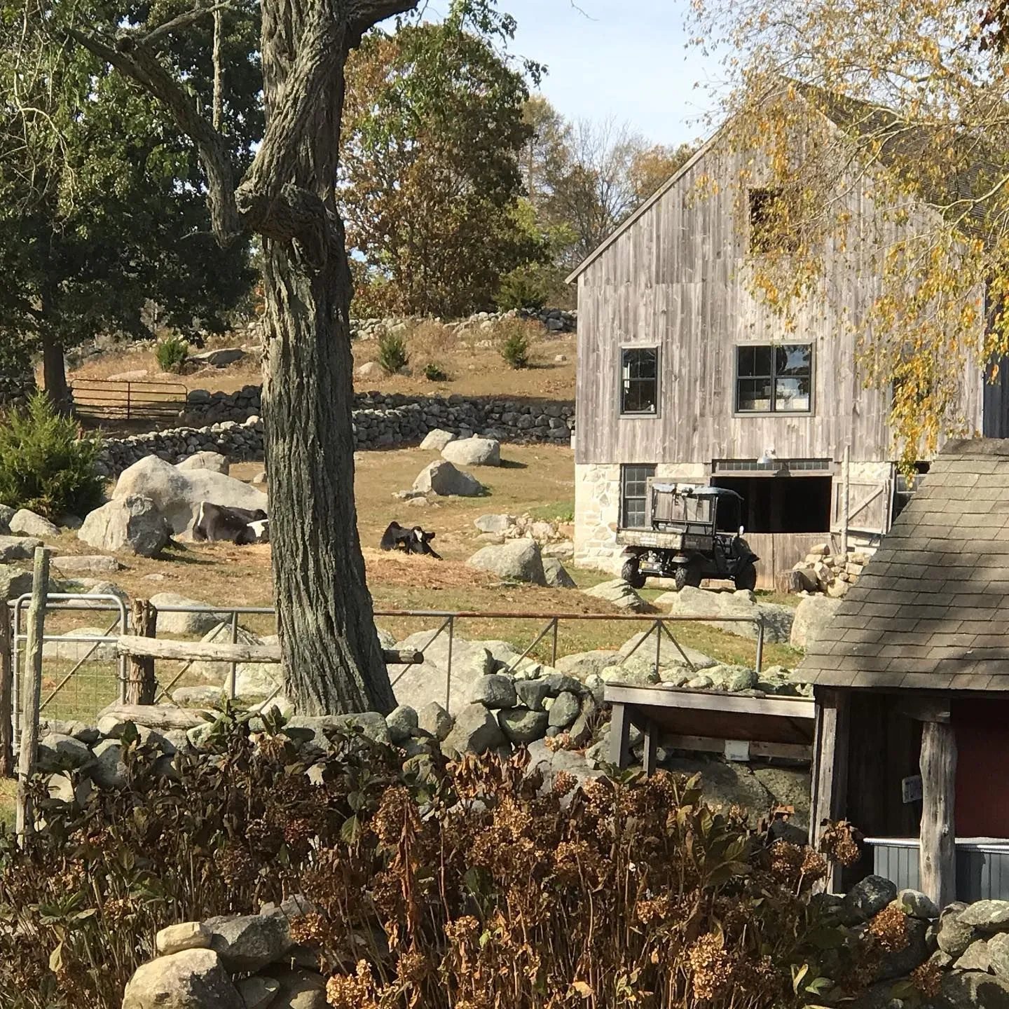Peaslee Architect, P.C.